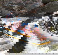 Barron River Half-Day White Water Rafting from Cairns - Book Restaurant