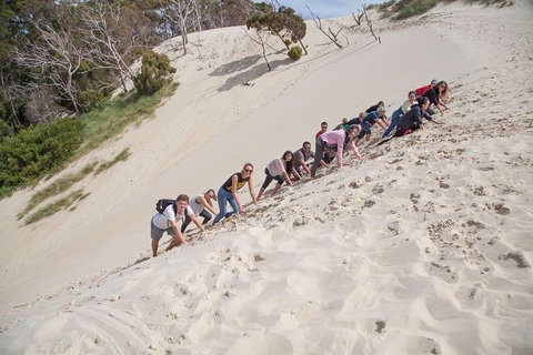 6-Day Tasmanian Explorer Adventure Tour From Hobart - Book Restaurant 2