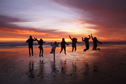 6-Day Tasmanian Explorer Adventure Tour From Hobart - Book Restaurant 3