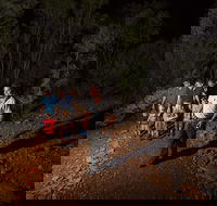 Alice Springs Desert Park Nocturnal Tour - Book Restaurant