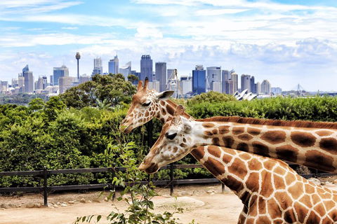 Go City | Sydney Explorer Pass With 20+ Attractions And Tours - Book Restaurant 2