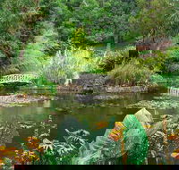 Hobart Half-Day Sightseeing Coach Tram Tour - Book Restaurant