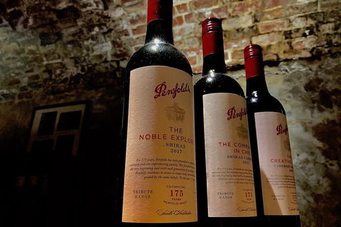 The Ultimate Penfolds Magill Estate Wine & Underground Cellar Tour - Book Restaurant 5