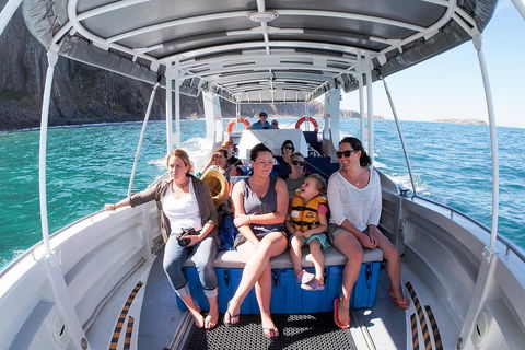 Seal Island Boat Tour From Victor Harbor - Book Restaurant 1