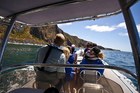 Seal Island Boat Tour From Victor Harbor - Book Restaurant 2