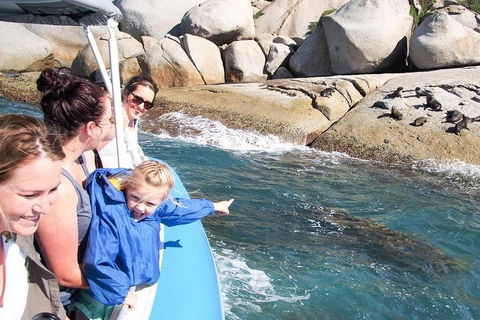 Seal Island Boat Tour From Victor Harbor - Book Restaurant 4