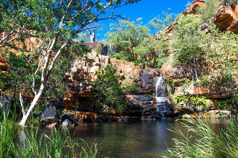 9-Day Kimberley Offroad Adventure From Broome To Darwin - Book Restaurant 4