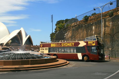 Big Bus Sydney And Bondi Hop-on Hop-off Tour - Book Restaurant 3