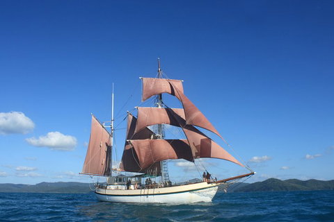 Sydney Harbour Tall Ship Whale & Sail - Whale Watching Cruise - Book Restaurant 1
