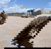 Magnetic Island Tour Maggie Comprehensive