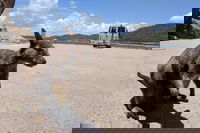 Magnetic Island Tour Maggie Comprehensive