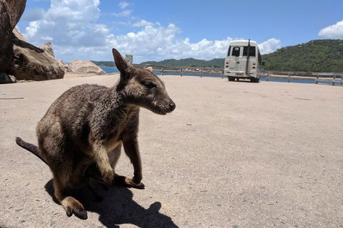 Magnetic Island Tour: Maggie Comprehensive - Book Restaurant 0