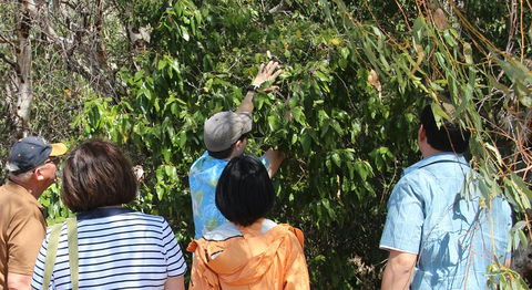 Magnetic Island Tour: Maggie Comprehensive - Book Restaurant 4