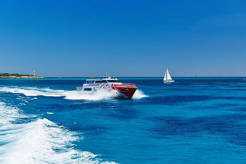 Rottnest Island Round-Trip Ferry From Perth Or Fremantle - Book Restaurant 4