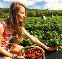 Mornington Peninsula Day Trip from Melbourne - Book Restaurant