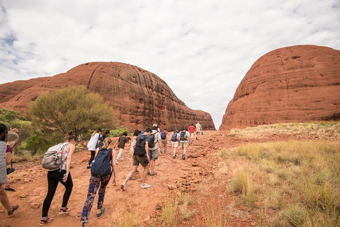 6 Day Red Centre Explorer With Accommodation - Book Restaurant 3