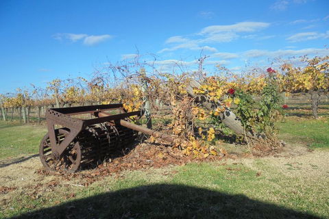 Swan Valley Tour From Perth: Wine, Beer And Chocolate Tastings - Book Restaurant 3