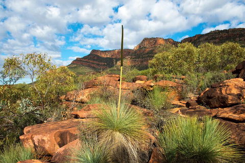 6-Day Eyre Peninsula & Flinders Ranges Adventure Tour - Book Restaurant 1
