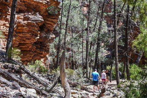 6-Day Eyre Peninsula & Flinders Ranges Adventure Tour - Book Restaurant 5