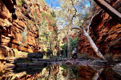 10-Day Adelaide To Perth Adventure Tour - Book Restaurant 5