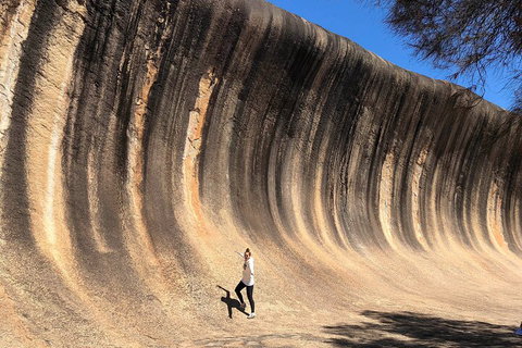 6 Day Esperance & Margaret River Adventure Tour - Book Restaurant 4