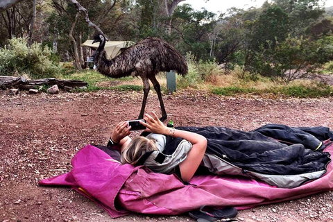 6 Day Esperance & Margaret River Adventure Tour - Book Restaurant 5