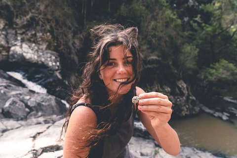 Springbrook AndTamborine Rainforest Tour Incl Natural Bridge And Glow Worm Cave - Book Restaurant 1