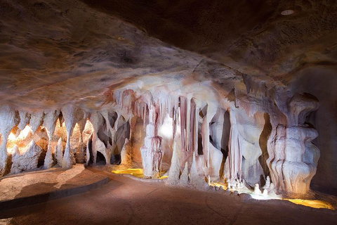 Springbrook AndTamborine Rainforest Tour Incl Natural Bridge And Glow Worm Cave - Book Restaurant 4