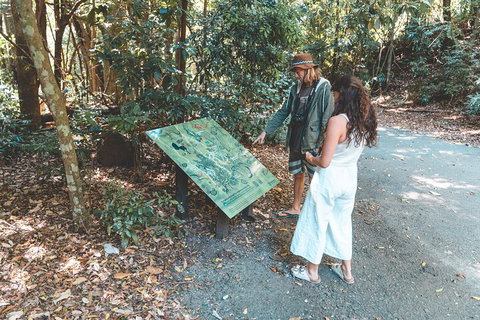 Springbrook AndTamborine Rainforest Tour Incl Natural Bridge And Glow Worm Cave - Book Restaurant 5
