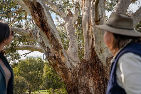 NEW TOUR - Kangaroo Island Road To Recovery Tour (1 Day/1 Night) - Book Restaurant 0