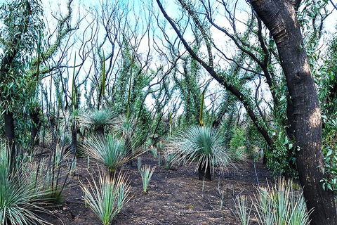 NEW TOUR - Kangaroo Island Road To Recovery Tour (1 Day/1 Night) - Book Restaurant 3