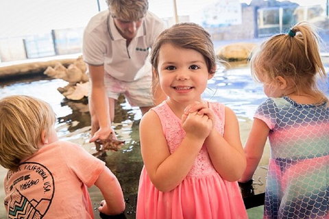 Lunch And General Admission Entry At AQWA - Book Restaurant 4