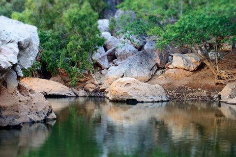 Windjana Gorge And Tunnel Creek 4WD Tour From Broome - Book Restaurant 5