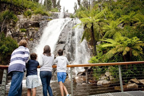 Melbourne Snow Trip To Lake Mountain With Chocolates Visit To A Waterfall - Book Restaurant 3