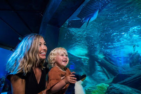 SEA LIFE Sunshine Coast Aquarium Entrance Ticket - Book Restaurant 0