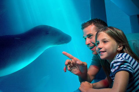 SEA LIFE Sunshine Coast Aquarium Entrance Ticket - Book Restaurant 2