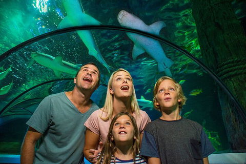 SEA LIFE Sunshine Coast Aquarium Entrance Ticket - Book Restaurant 3