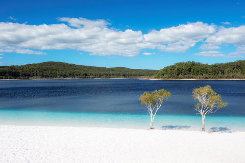 All-Inclusive Fraser Island Day Tour - Book Restaurant 3