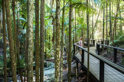 All-Inclusive Fraser Island Day Tour - Book Restaurant 5