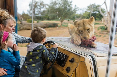 Werribee Open Range Zoo General Admission Ticket - Book Restaurant 4