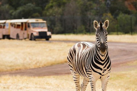 Werribee Open Range Zoo General Admission Ticket - Book Restaurant 5