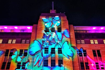 Vivid 90-Minute Sydney Harbour Small Group Catamaran Cruise