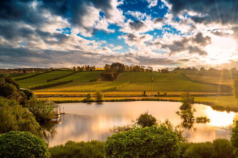 Josef Chromy Wines Winery Tour Including Tasting And Lunch - Book Restaurant 3