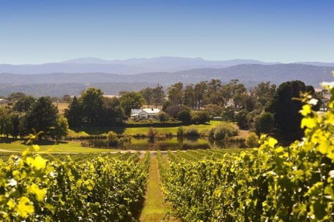 Josef Chromy Wines Winery Tour Including Tasting And Lunch - Book Restaurant 4