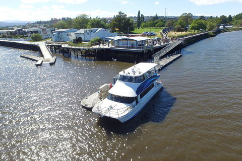 2.5 Hour Morning Discovery Cruise Including Sailing Into The Cataract Gorge - Book Restaurant 3