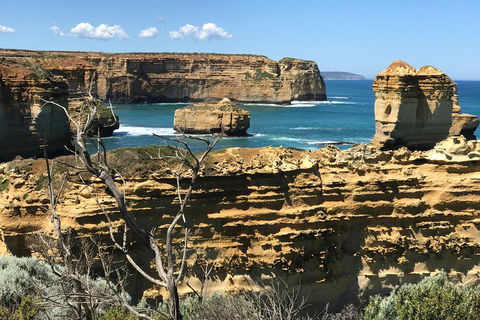Great Ocean Road Reverse Itinerary Tour - Book Restaurant 1
