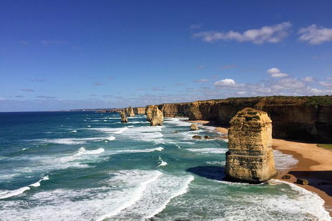 Great Ocean Road Reverse Itinerary Tour - Book Restaurant 4