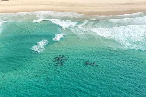 Coastal Helicopter Shared Flight - 20 Minutes - Book Restaurant 4