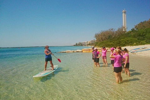 Golden Beach 1-Hour Stand-Up Paddleboard Hire On The Sunshine Coast - Book Restaurant 1