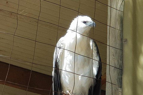 Phillip Island Penguin And Wildlife Tour - Book Restaurant 5